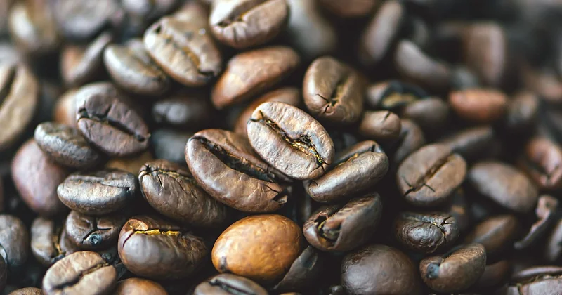 How to diagnose your brew by taste
