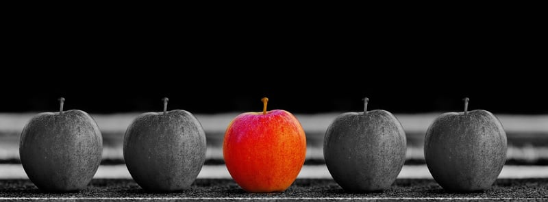 Mastering 2026: How to Develop a General Business Plan for Startups Successfully